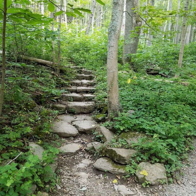Nature PlayScape At Cincinnati Nature Center, Milford