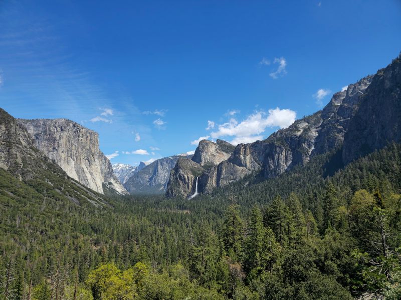 12 California Counties Seeing A Massive Spike In Black Bear Sightings This Fall - Decor Hint Tuolumne County: Yosemite's Northern Gateway Stays Busy