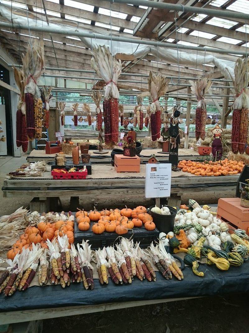 Adams Fruit Market, Greenwood