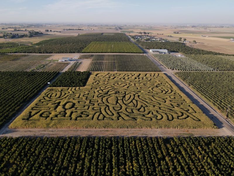 8 Idaho Mazes That Take Families At Least An Hour To Escape This October - Decor Hint Cherry Hill Farms, Caldwell, ID