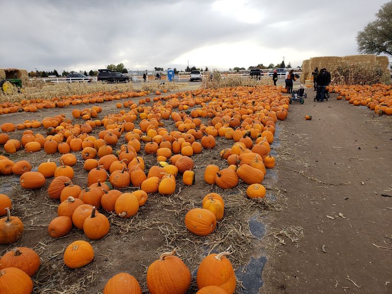 U Pick RedBarn In Idaho Falls