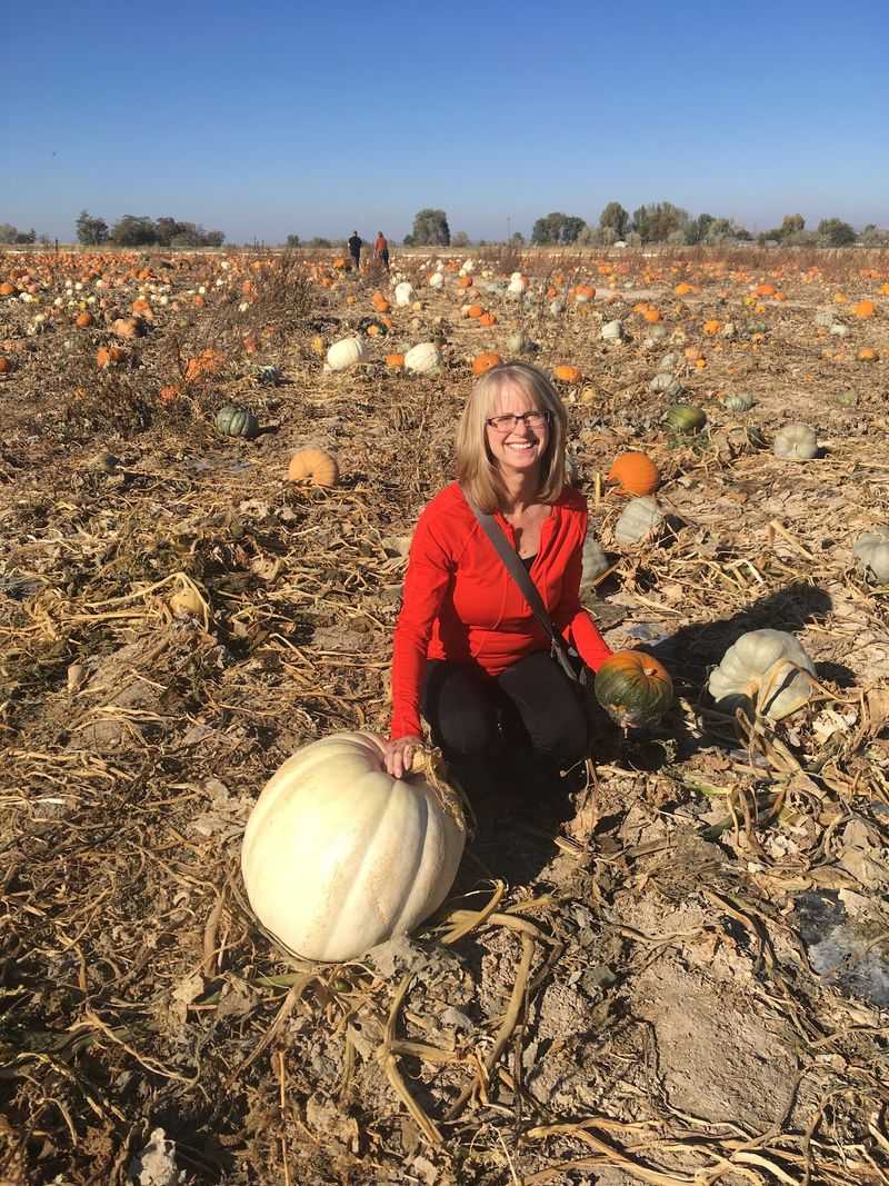 9 Idaho Pumpkin Patches Where Families Pick Straight Off The Vine This October - Decor Hint Tubbs Berry Farm In Twin Falls