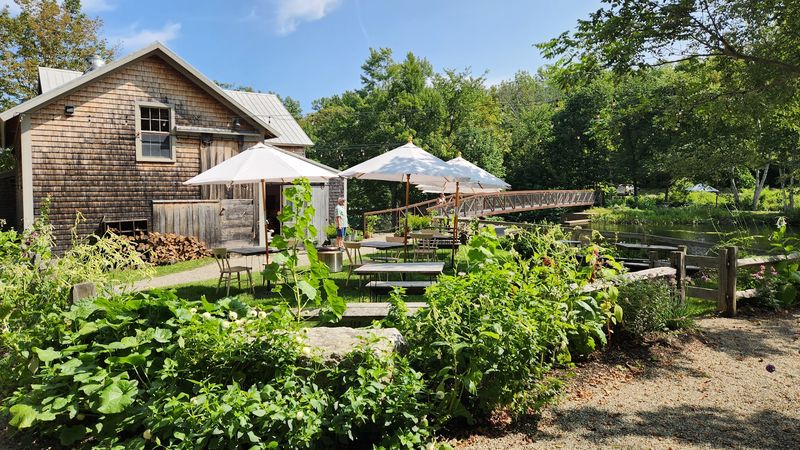 The Lost Kitchen