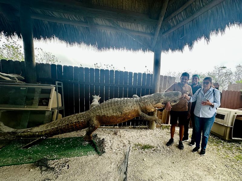 Gator Talks, Baby Alligators, and the Gift Shop