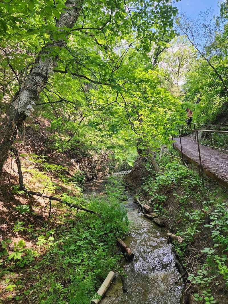 Trails, Boardwalks, and Overlooks