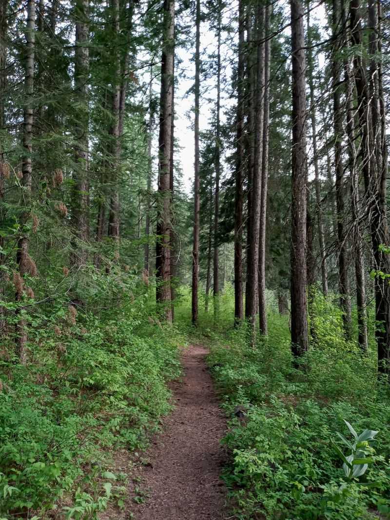 One Campsite Can Double As A Launch Point For A Much Bigger Idaho Adventure