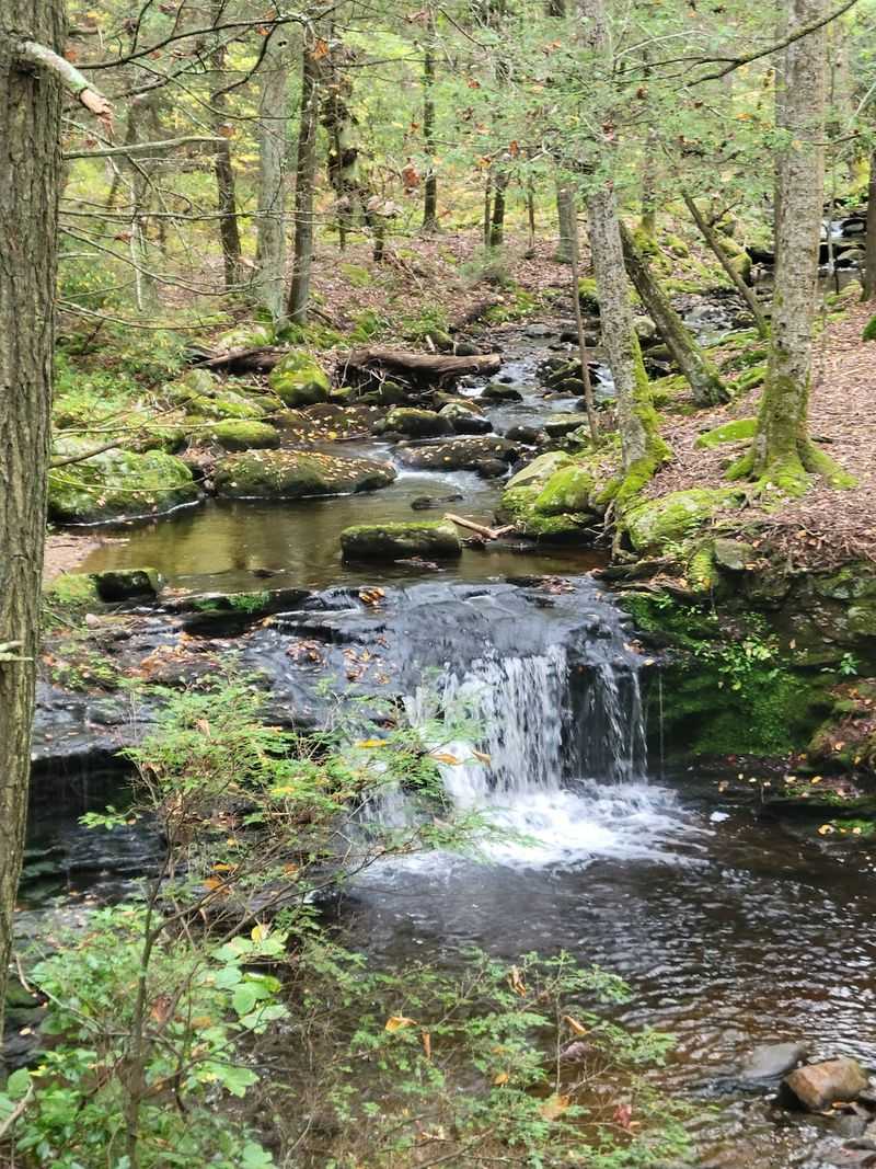 Chapman Falls Roars Just Beyond The Campground