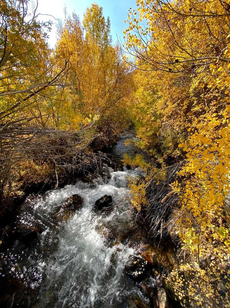 Mist Falls Pairs Falling Water With Autumn Leaves