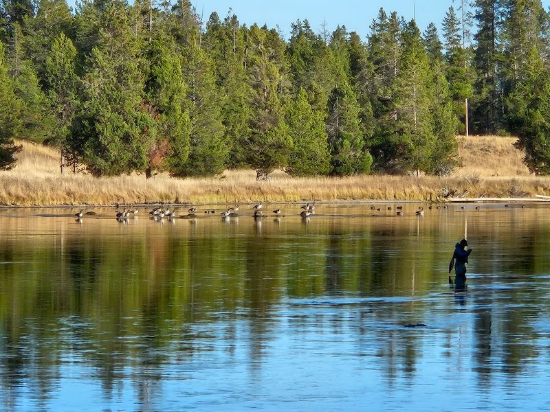 A Comeback Written On The Water