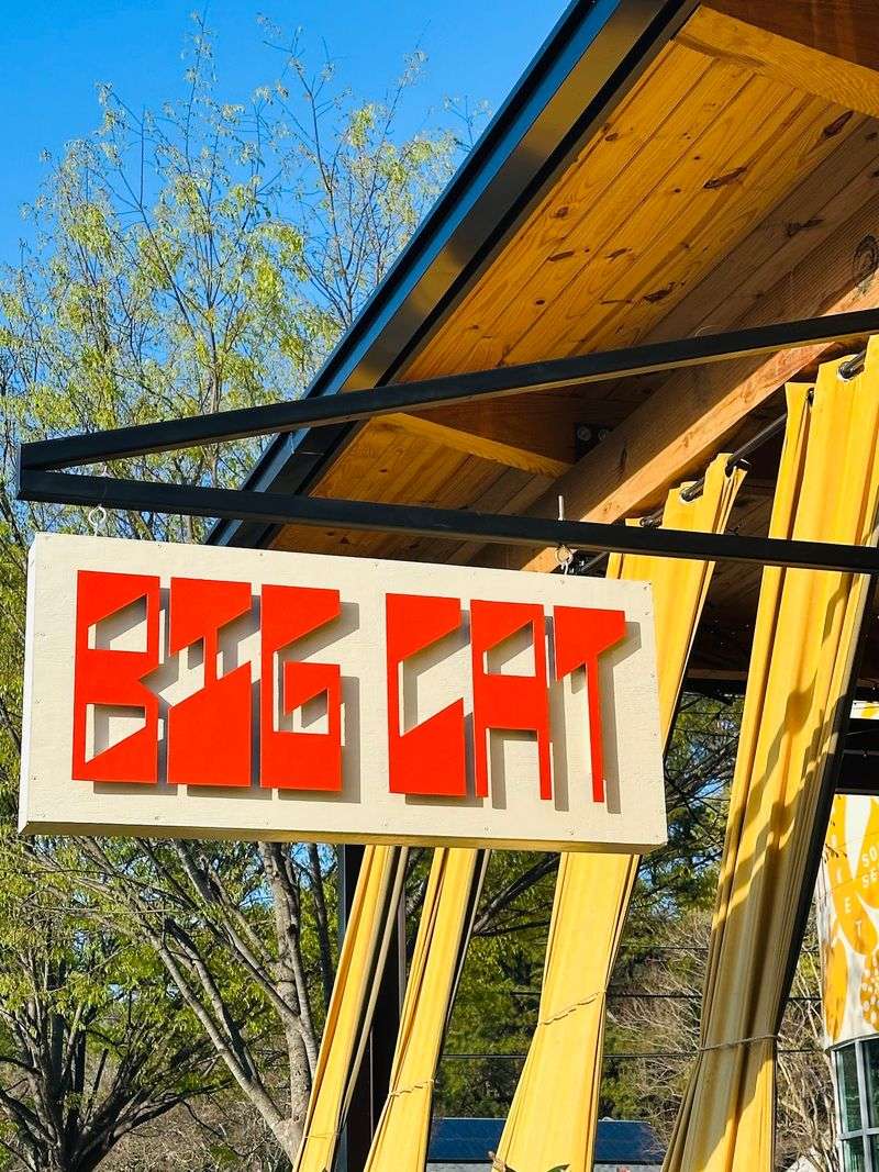Big Cat Had Barely Been Open Six Months Before Getting National Attention