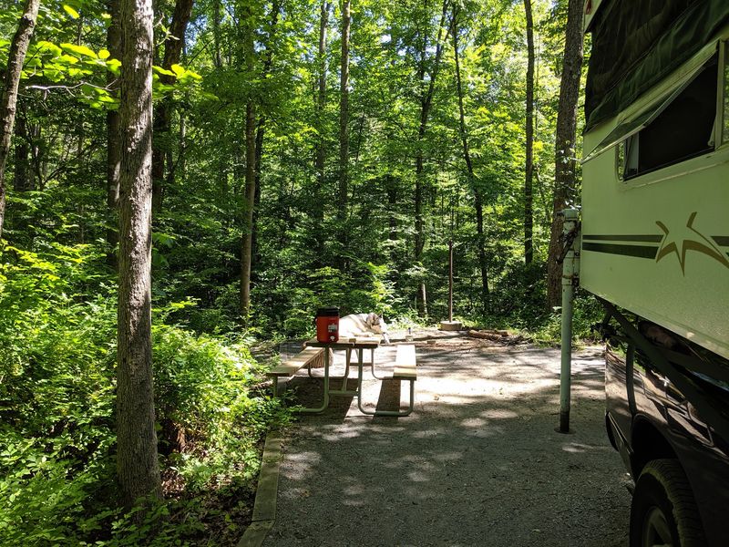 Elizabeth Furnace Family Campground, Fort Valley