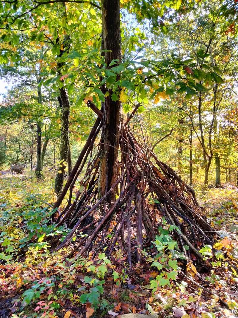 The Natural Playground Blends Straight Into The Woods