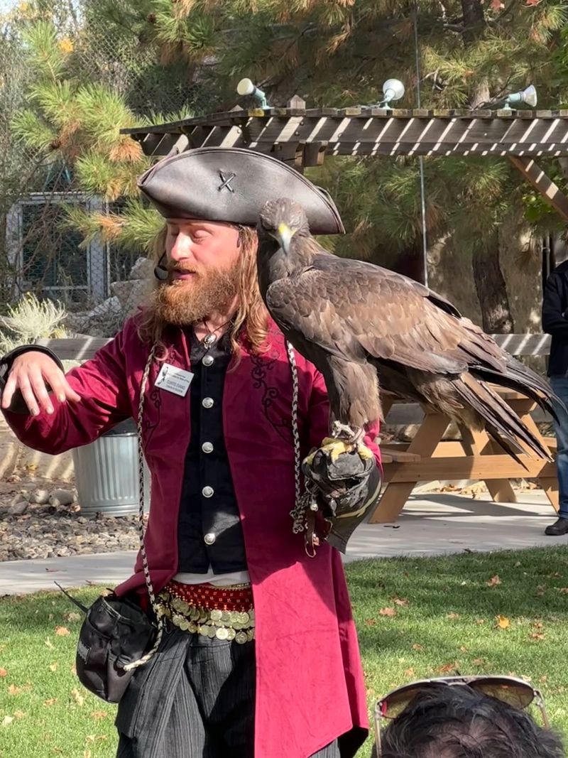 The Flight Shows That Send Birds Over Your Head
