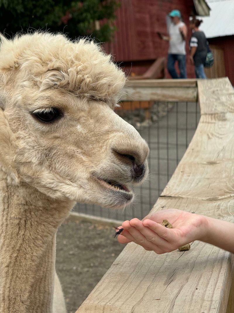Keeper Talks Worth Standing Still For