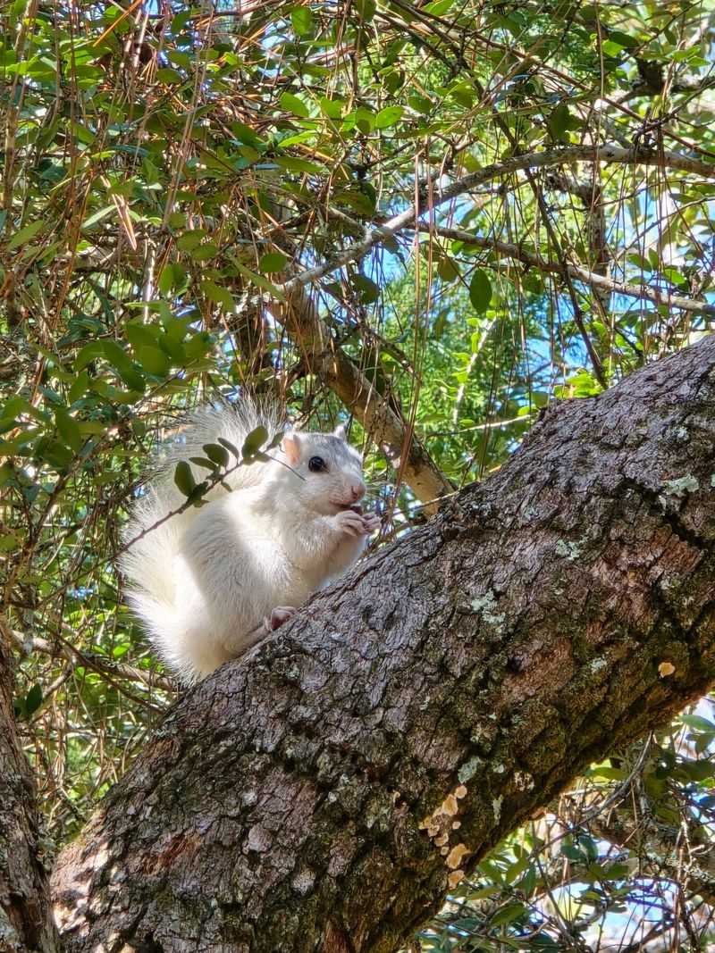 11 Florida Campgrounds So Well Secluded Even Most Residents Miss Them - Decor Hint Ochlockonee River State Park, Sopchoppy