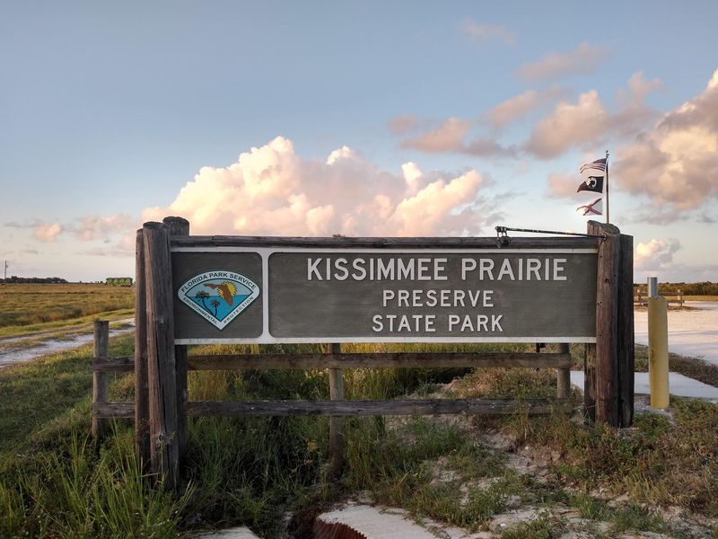 11 Florida Campgrounds So Well Secluded Even Most Residents Miss Them - Decor Hint Kissimmee Prairie Preserve State Park, Okeechobee