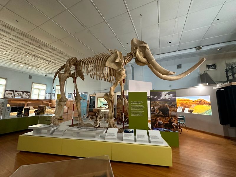 The Trailside Museum and Its Tangled Mammoths