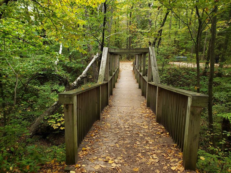 Lion’s Den Gorge Boardwalk, Grafton