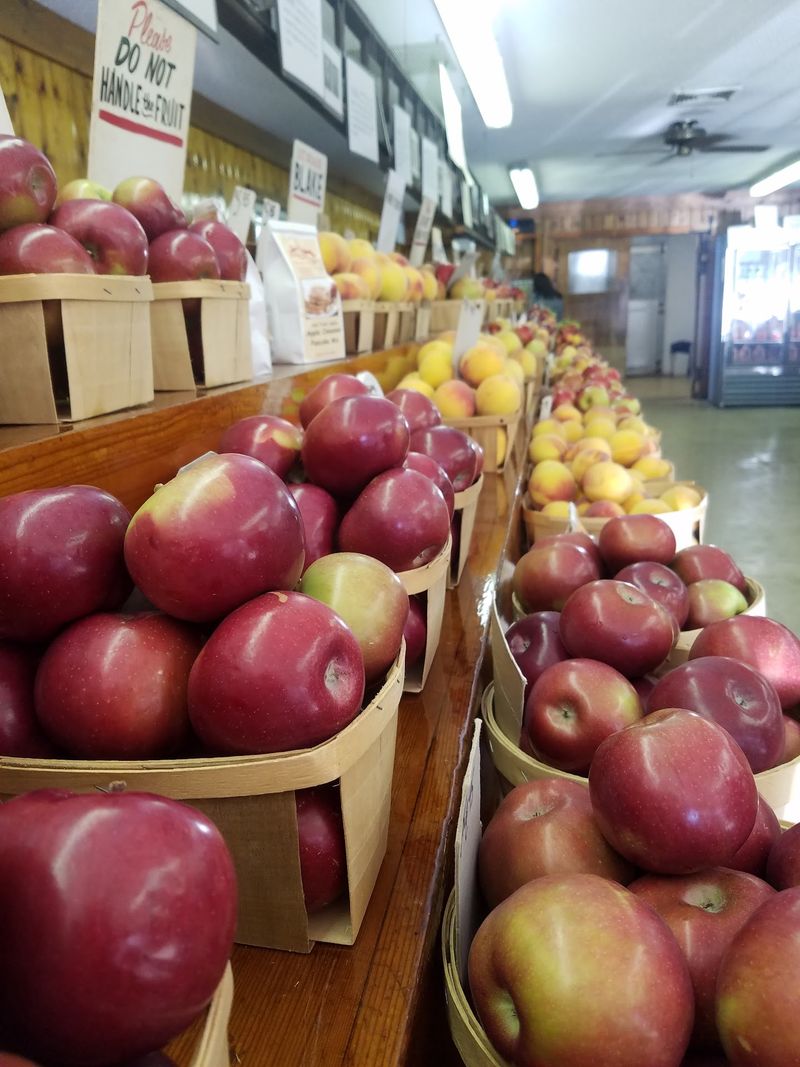 Rogers Orchards - Sunnymount Farm Store, Plantsville