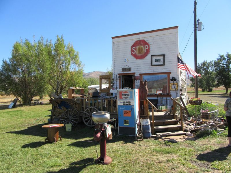 Porcupine Races And Mountain Music