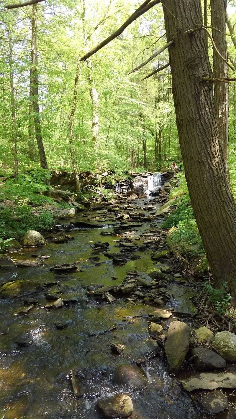 Woodland Adventure Spreads Across 649 Acres