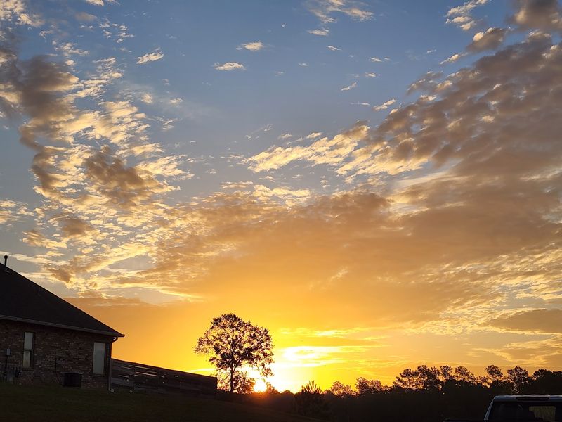 Leesville, Vernon Parish