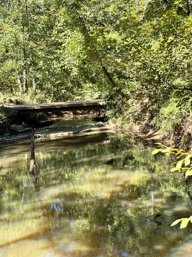 Fishing Ponds And Other Off-Road Surprises