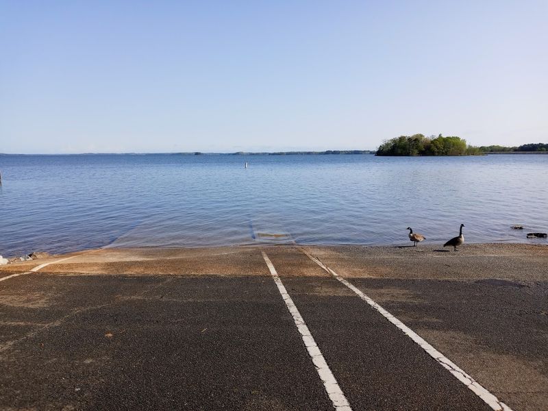 Fishing Where Twenty Species Swim
