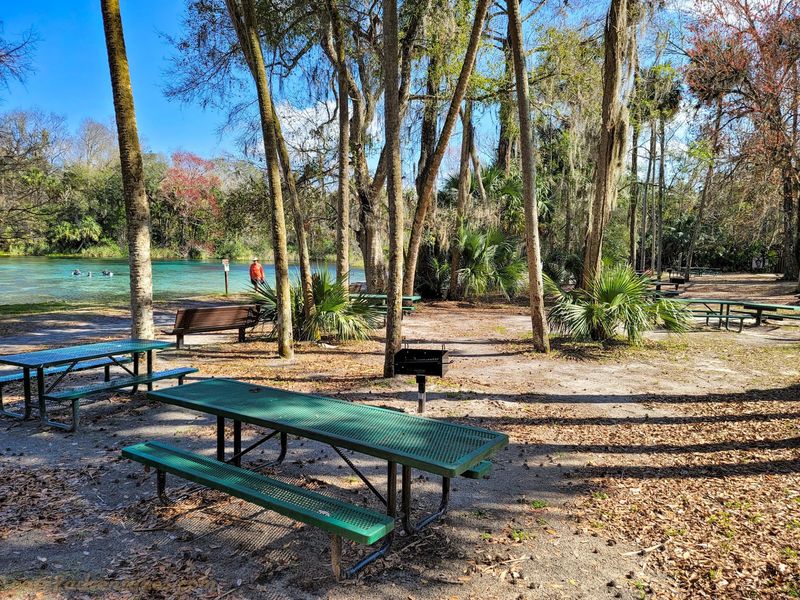 Where Lunch Happens Under the Live Oaks