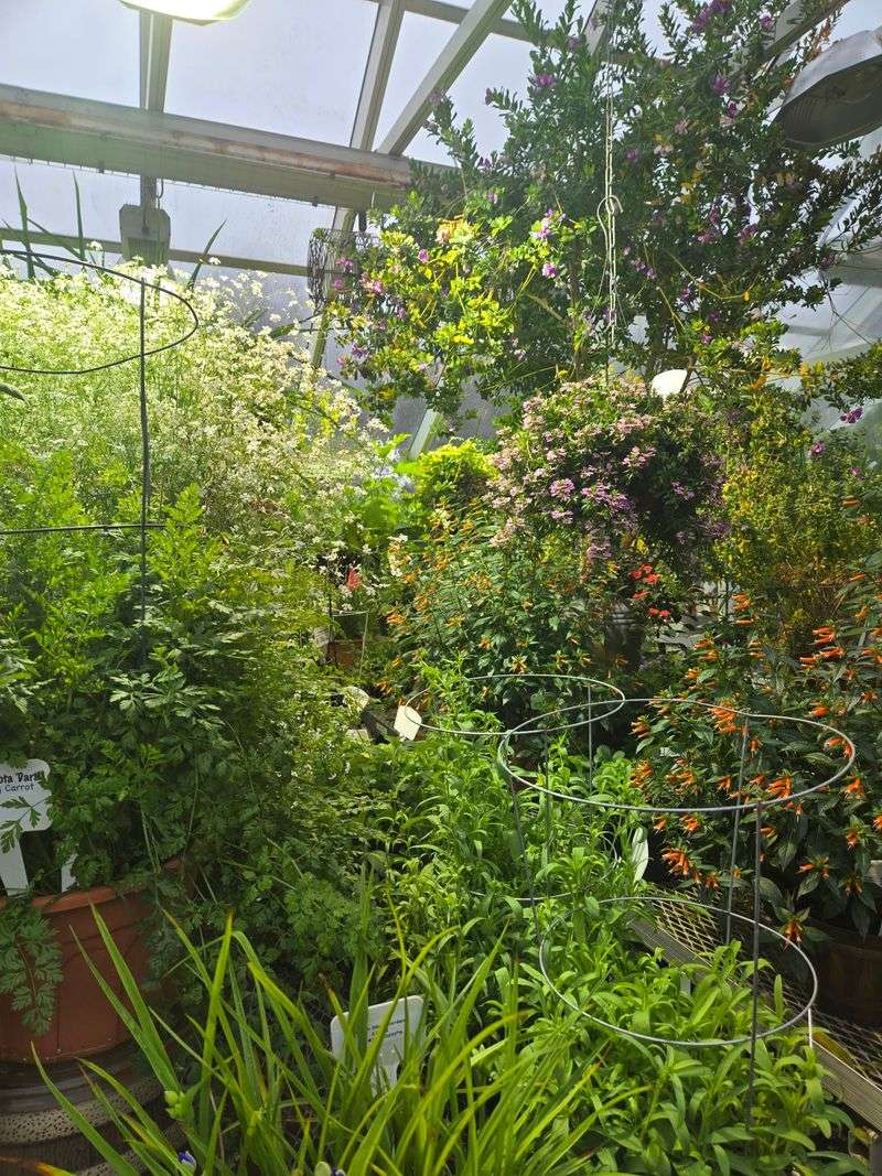 More Than 2,000 Plant Species Fill The Collections