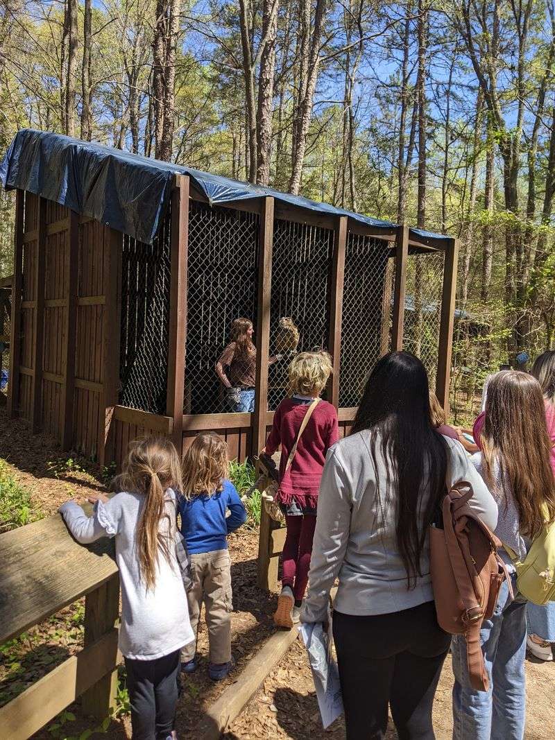 Carolina Raptor Center - Huntersville