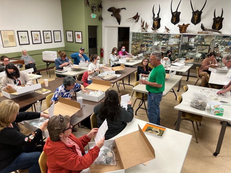 Fossils, Gems, And Glittering Minerals