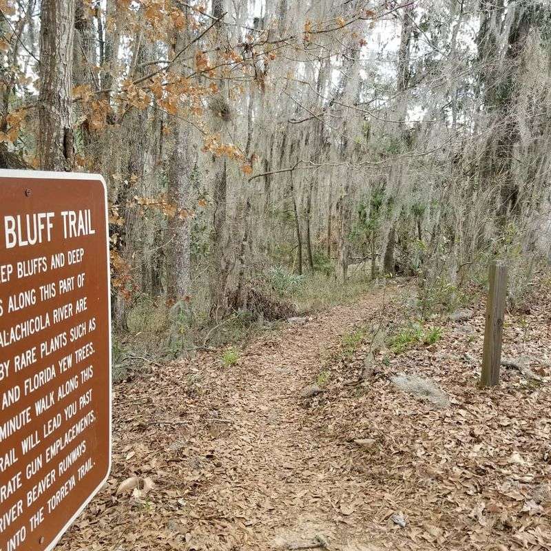 This Florida State Park Gets Zero Crowds And All The Stunning Views - Decor Hint Sixteen Miles Of Trails That Actually Climb