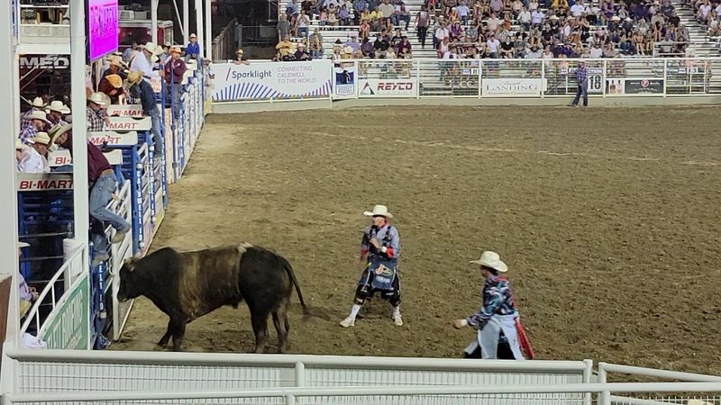 10 Idaho Rodeos So Wild They’re Worth Planning A Road Trip Around - Decor Hint Caldwell Night Rodeo - Caldwell