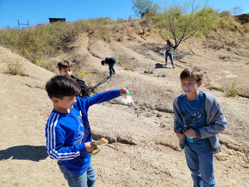 Search For 300-Million-Year-Old Fossils At This Incredible Texas Park, And Take Home What You Find - Decor Hint Meet The Sea Lilies And Their Neighbors