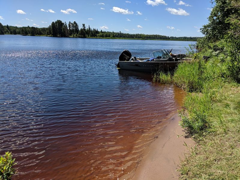 Walleye, Pike, And Patience