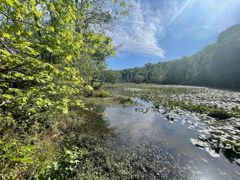 Miles Of Trails At Sandy Creek