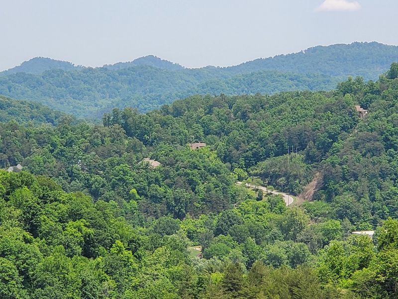 Trails, Saddles, And Canyon Views Nearby