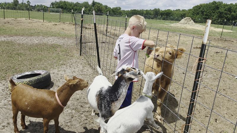 Spend Time With Goats
