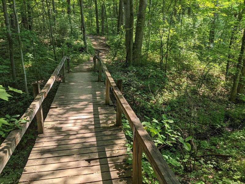 Pinckney State Recreation Area