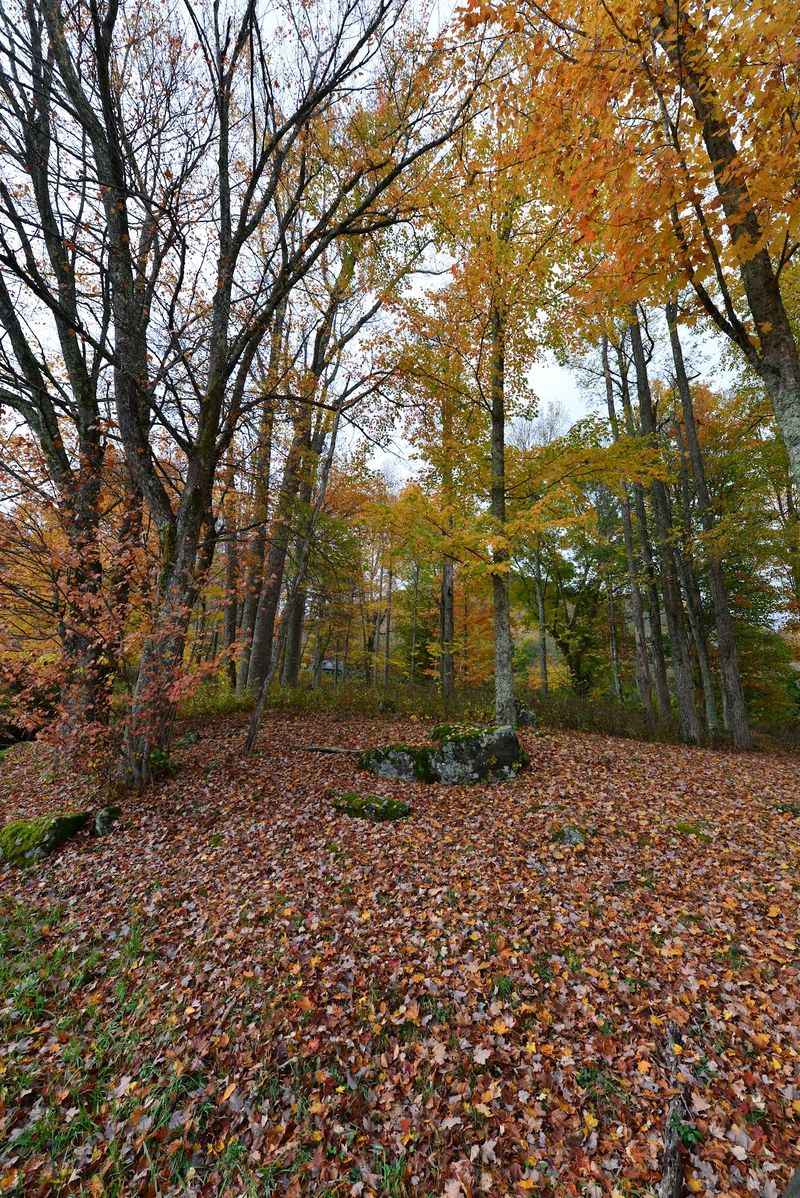This Tiny North Carolina Mountain Town Sits Above 3,000 Feet And Turns Gorgeous Every Fall - Decor Hint Discover Why This Little Mountain Escape Feels Made For Autumn