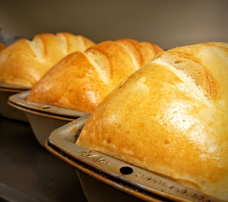 Bread Baked That Very Morning