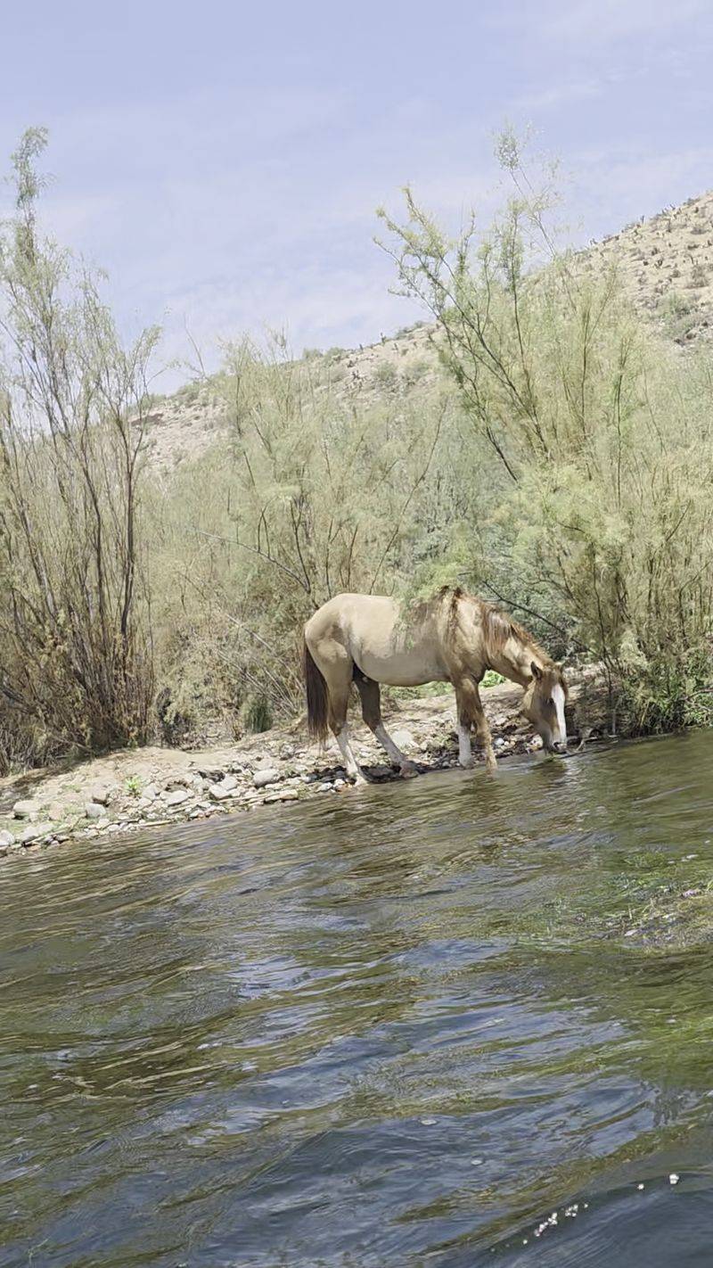 Keeping The Wild Truly Wild