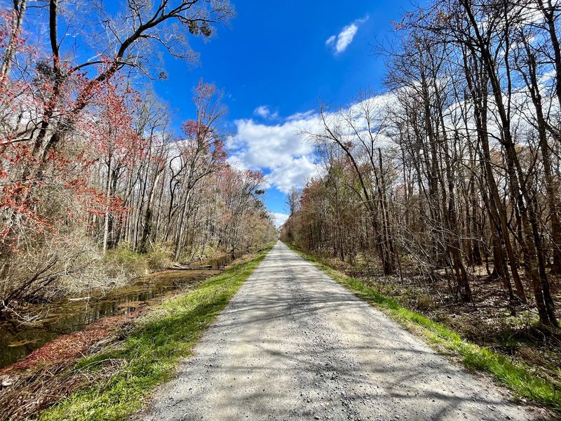 Explore 11 Historic Underground Railroad Sites Across North Carolina - Decor Hint Great Dismal Swamp State Park