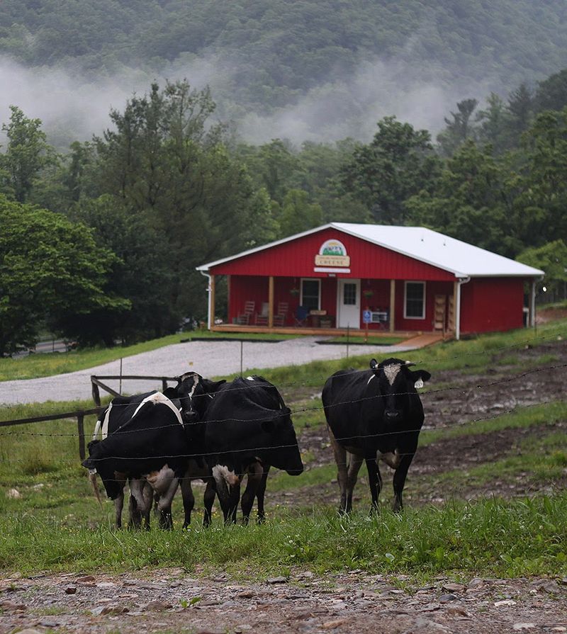 Beef And Local Goods Make It More Than A Cheese Stop