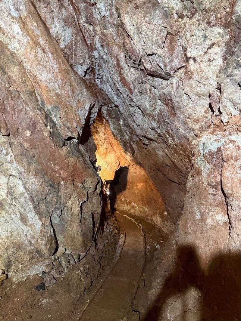 Gold Mine Experience, Wickenburg