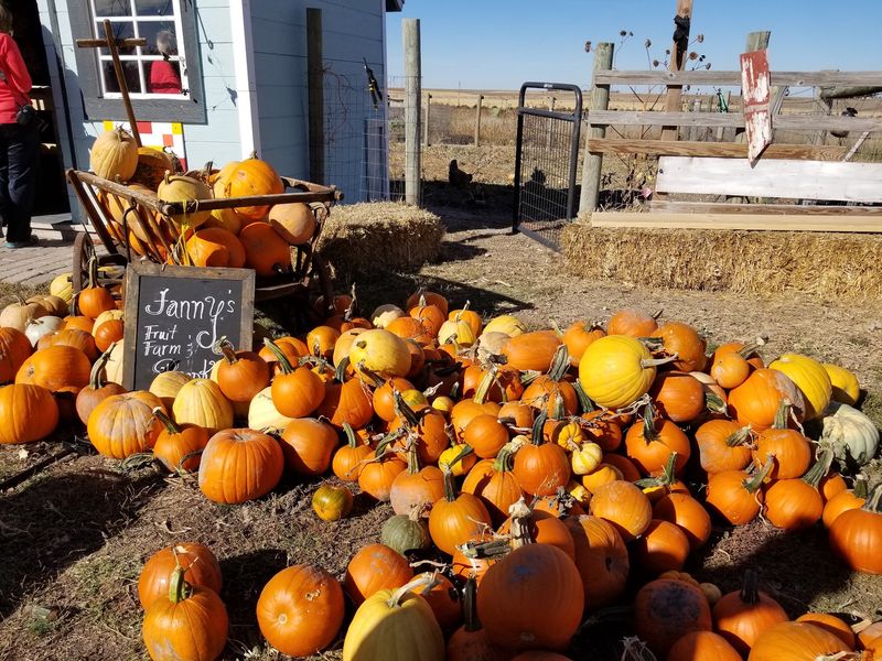6 Nebraska Farms Where A Hayrack Ride Carries You Out To The Pumpkin Field - Decor Hint Fanny's Fruit Farm & Pumpkin Patch