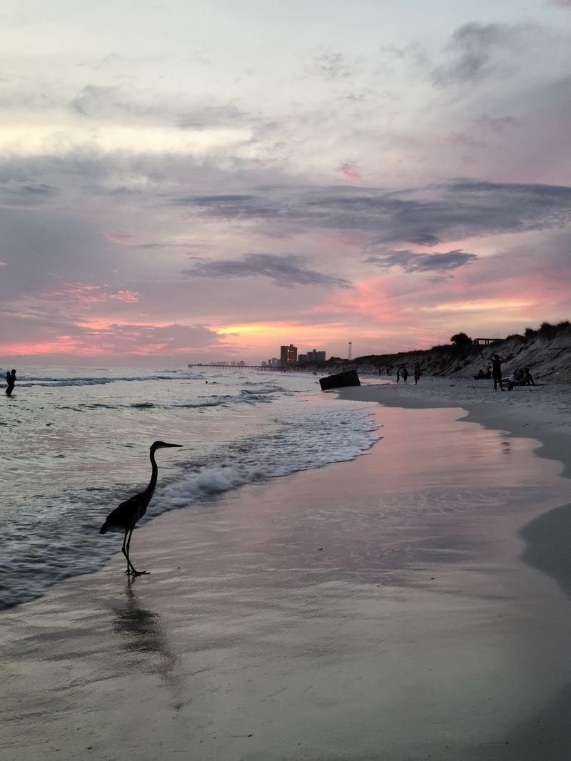 St. Andrews State Park, Panama City Beach