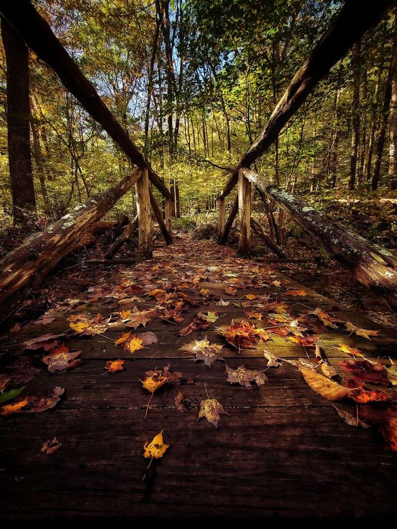 Macedonia Brook State Park, Kent