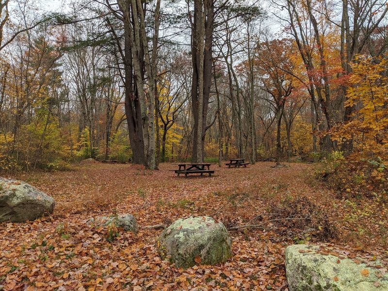 Pachaug State Forest, Voluntown